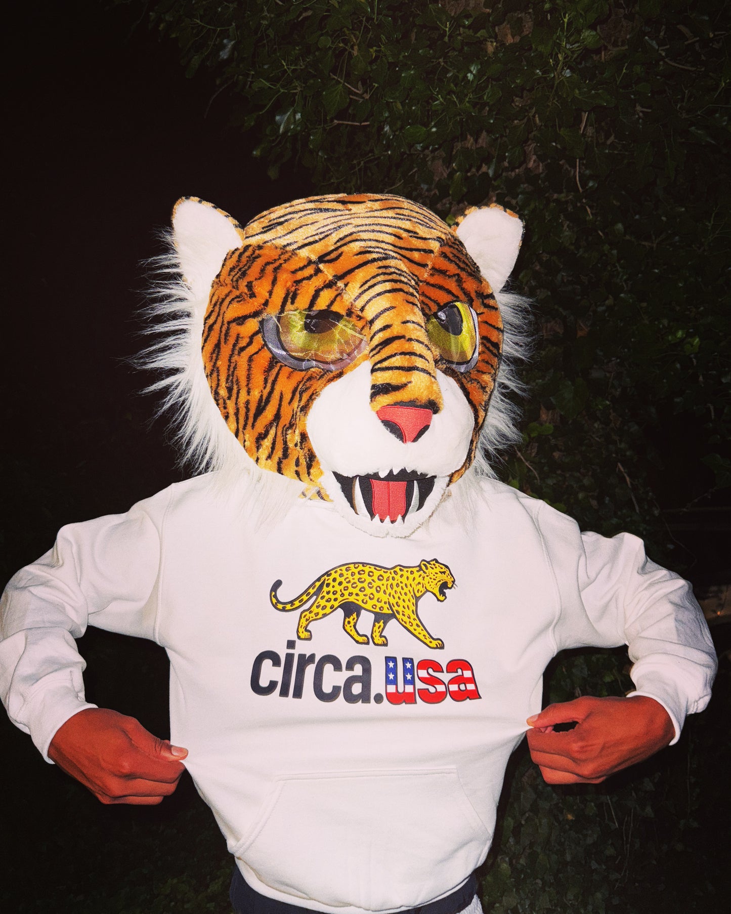 circa usa signature hoodie