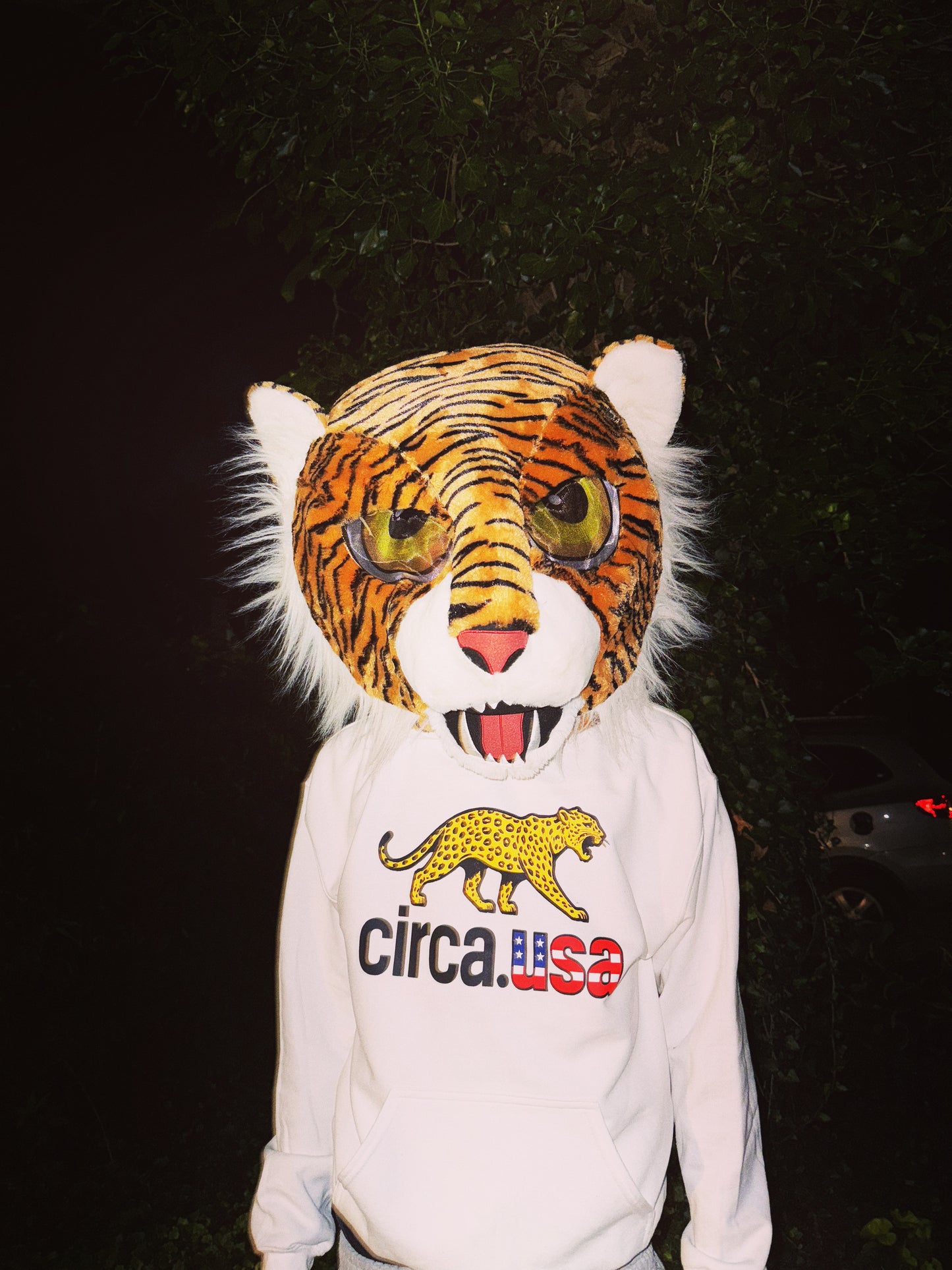 circa usa signature hoodie